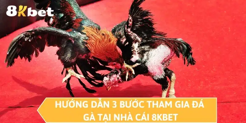 Hướng dẫn 3 bước tham gia đá gà tại nhà cái 8KBET