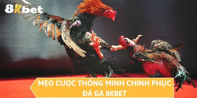 Mẹo cược thông minh chinh phục đá gà 8KBET